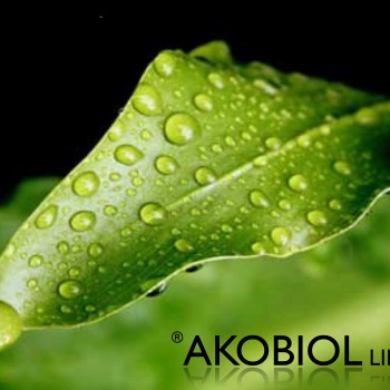 Akobiol line (extracte din plante si specialitati)